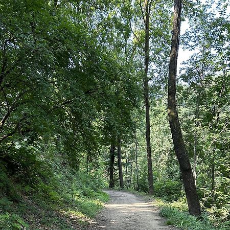 Il Giardino Di Berbech Citta Alta-Ulivo Apartment Bergamo Luaran gambar
