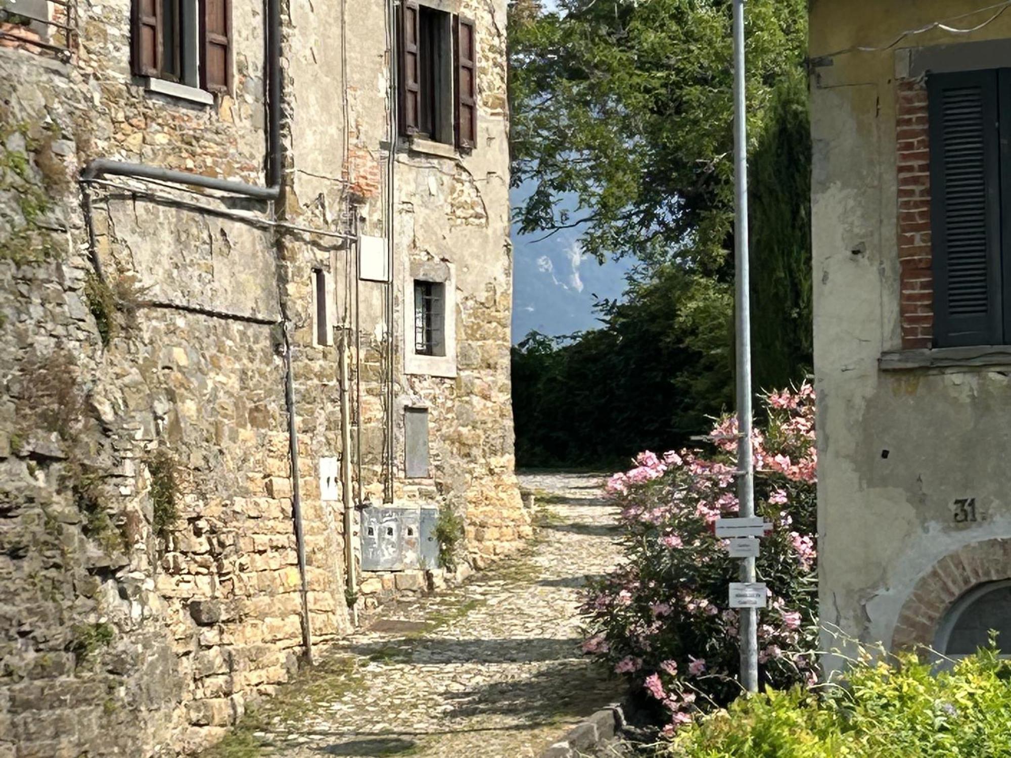 Il Giardino Di Berbech Citta Alta-Ulivo Apartment Bergamo Luaran gambar